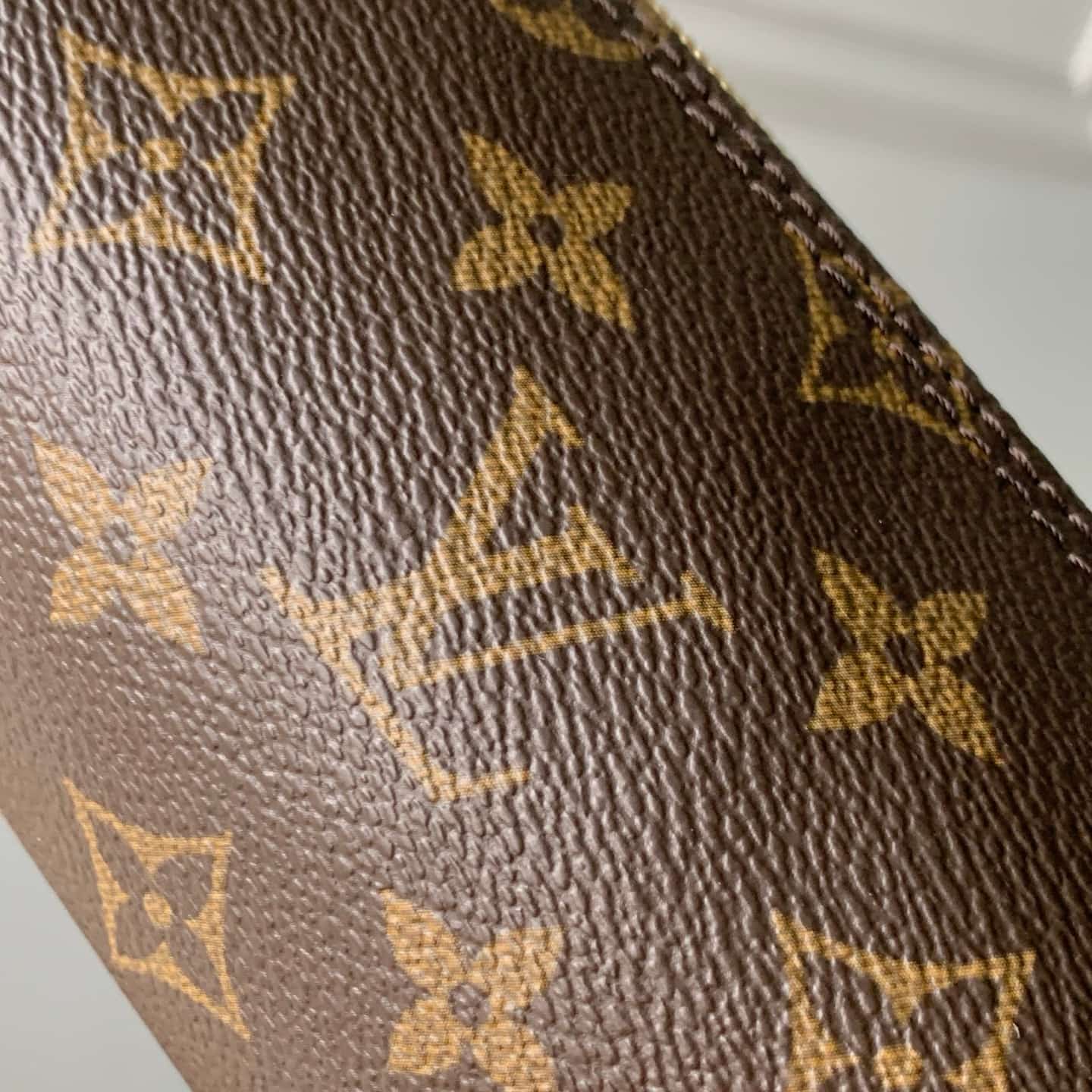 Louis Vuitton Pochette Papillon Monogram coated canvas M25703 High