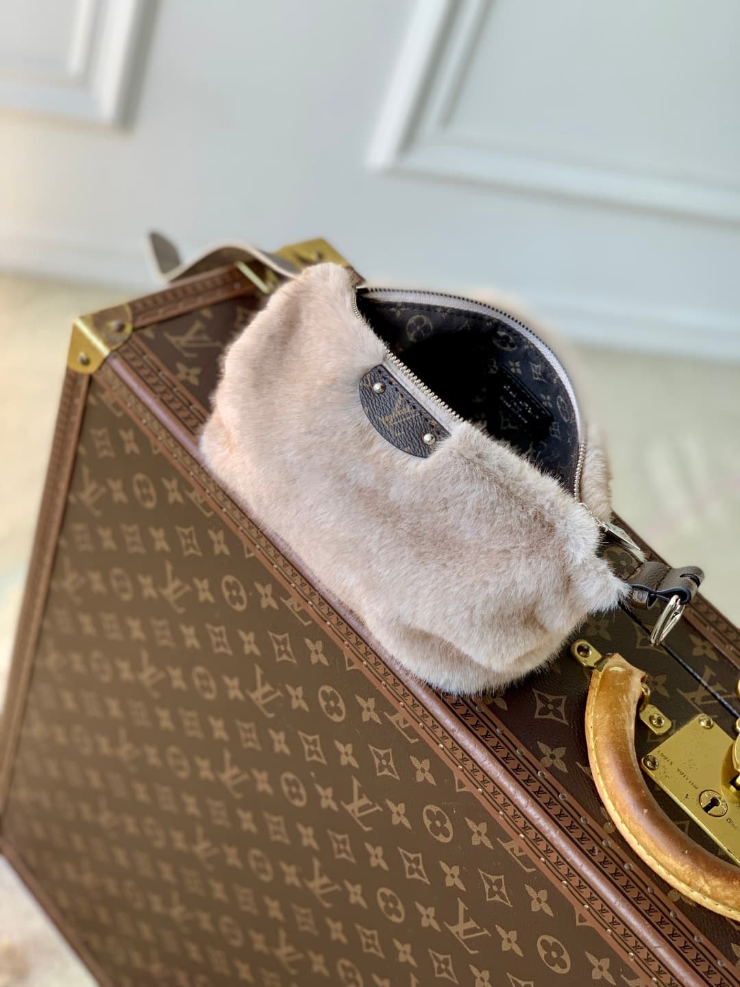 Louis Vuitton Hills Pochette in soft mink fur M15031 High