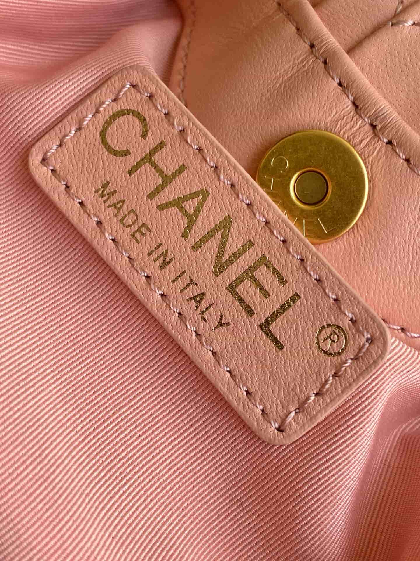 Chanel Mini Hobo Bag Lambskin-Shell Effect Plexi & Gold-Tone Metal Pink AS4981 High