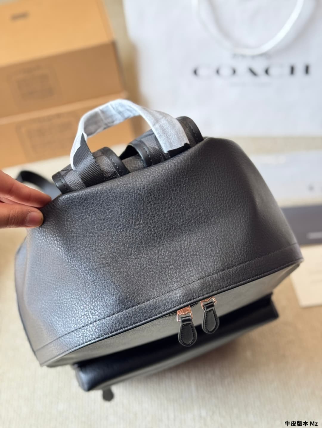 Coach Charles Backpack In Signature Canvas