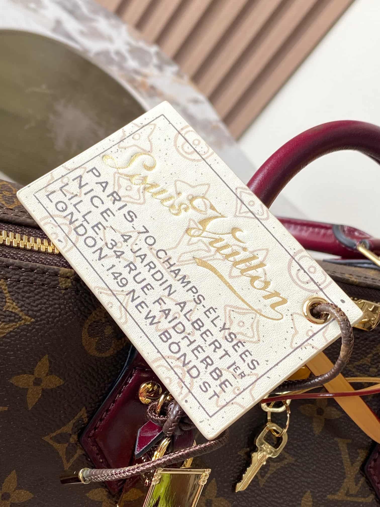 Louis Vuitton Speedy 30 Soft Celebration Monogram coated canvas M28379 TOP