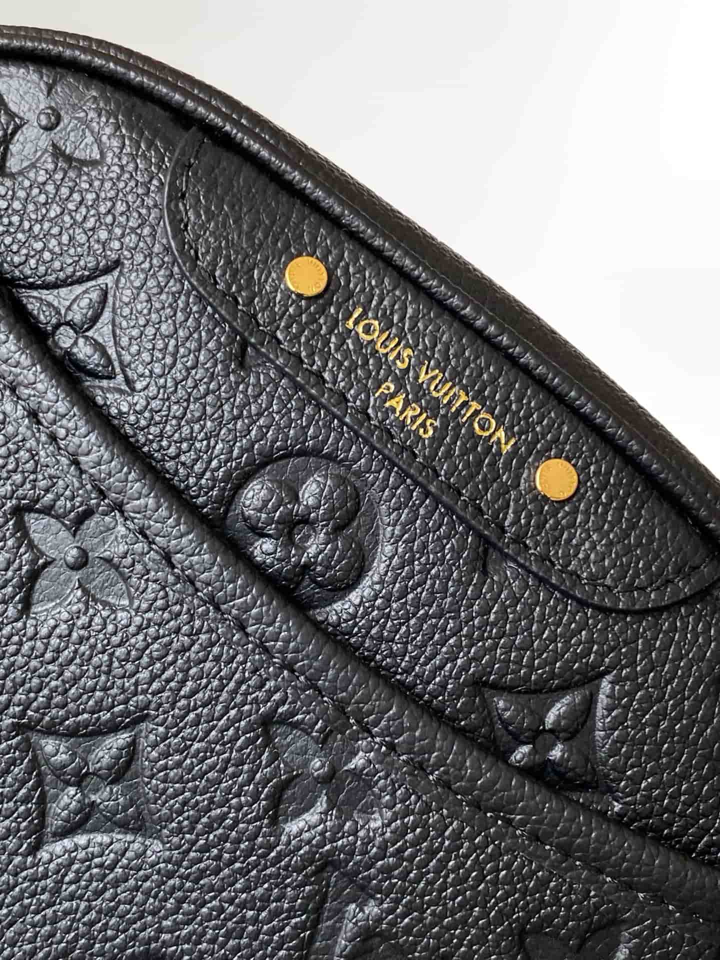 Louis Vuitton Tiny Camera Bag Black Cowhide leather M25518 High