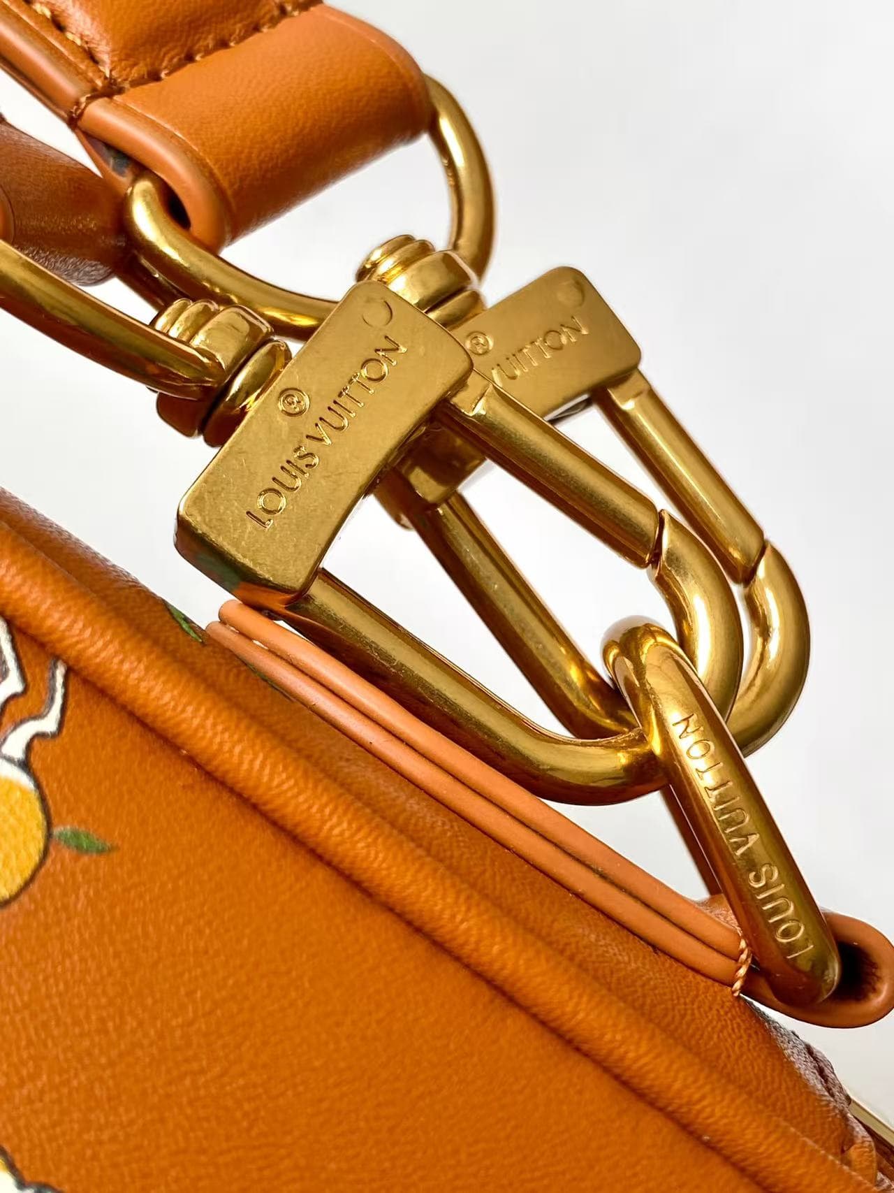 Louis Vuitton Nil GM x The Darjeeling Limited Tan Calfskin leather M27993 High