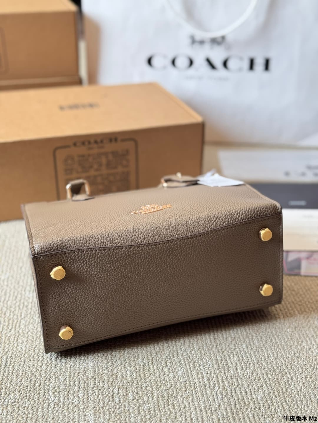 Coach Maggie Small Tote Bag