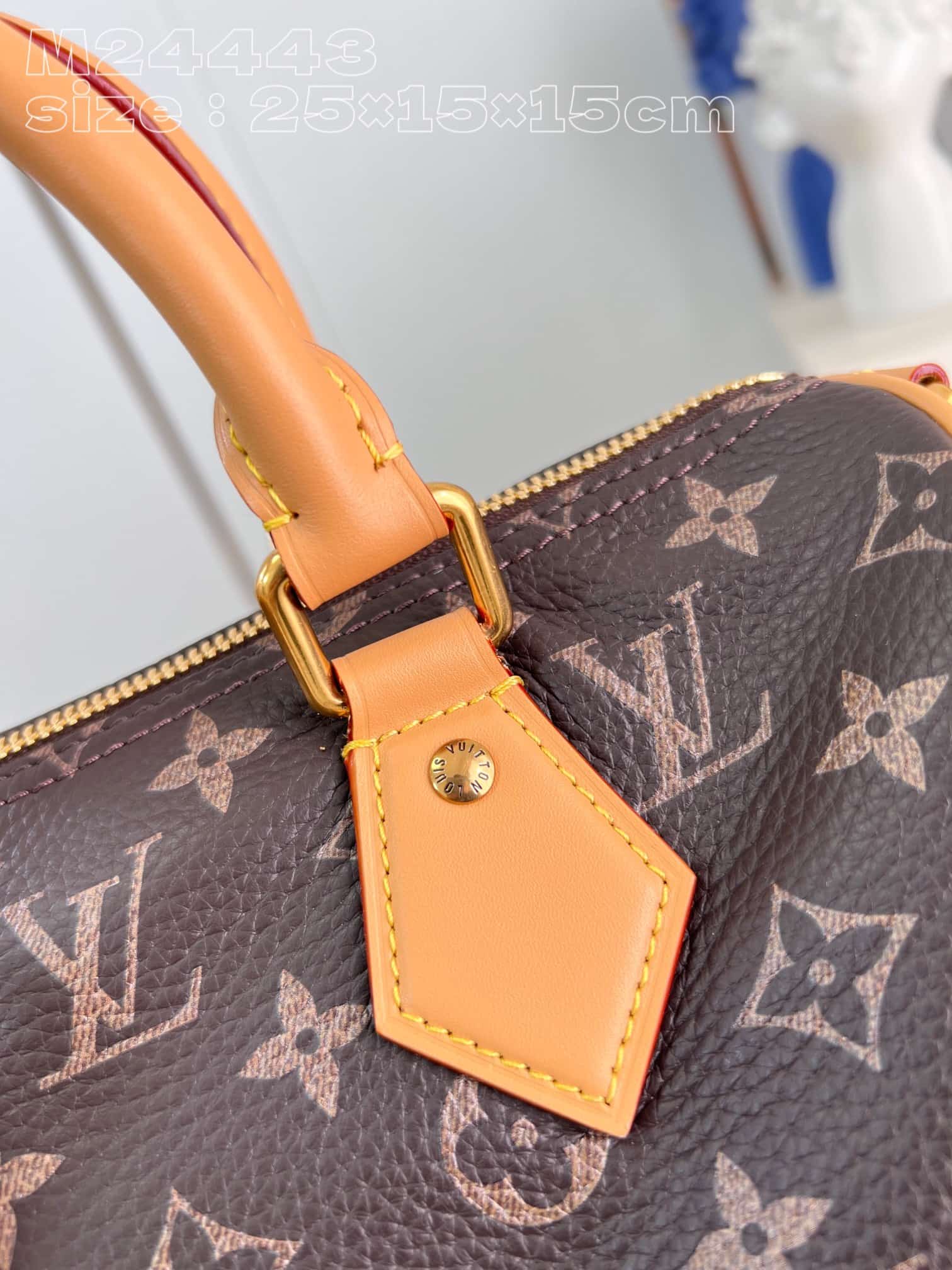 Louis Vuitton Speedy P9 Bandoulière 25 Soft calfskin M24443 High