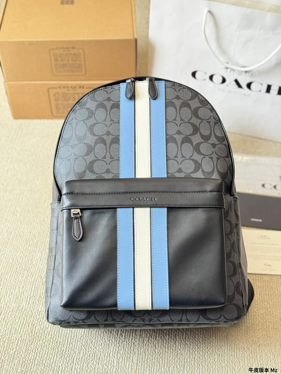 Coach West Backpack In Signature Canvas