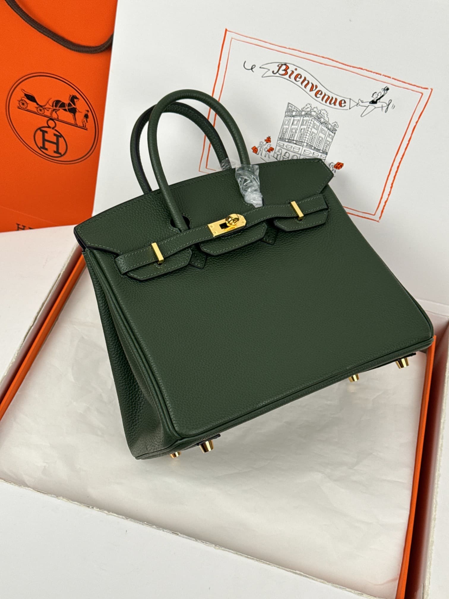 Hermes Birkin 25/30 Bag Togo Calfskin Leather Vert Anglais High