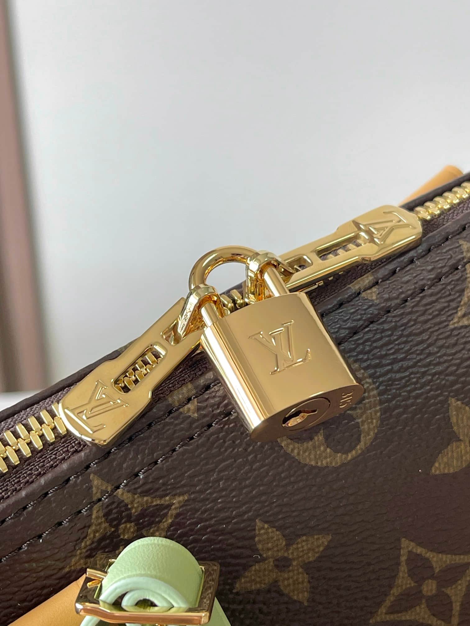 Louis Vuitton Speedy Soft 30 Lucky Coated canvas Monogram/Green M15107 TOP