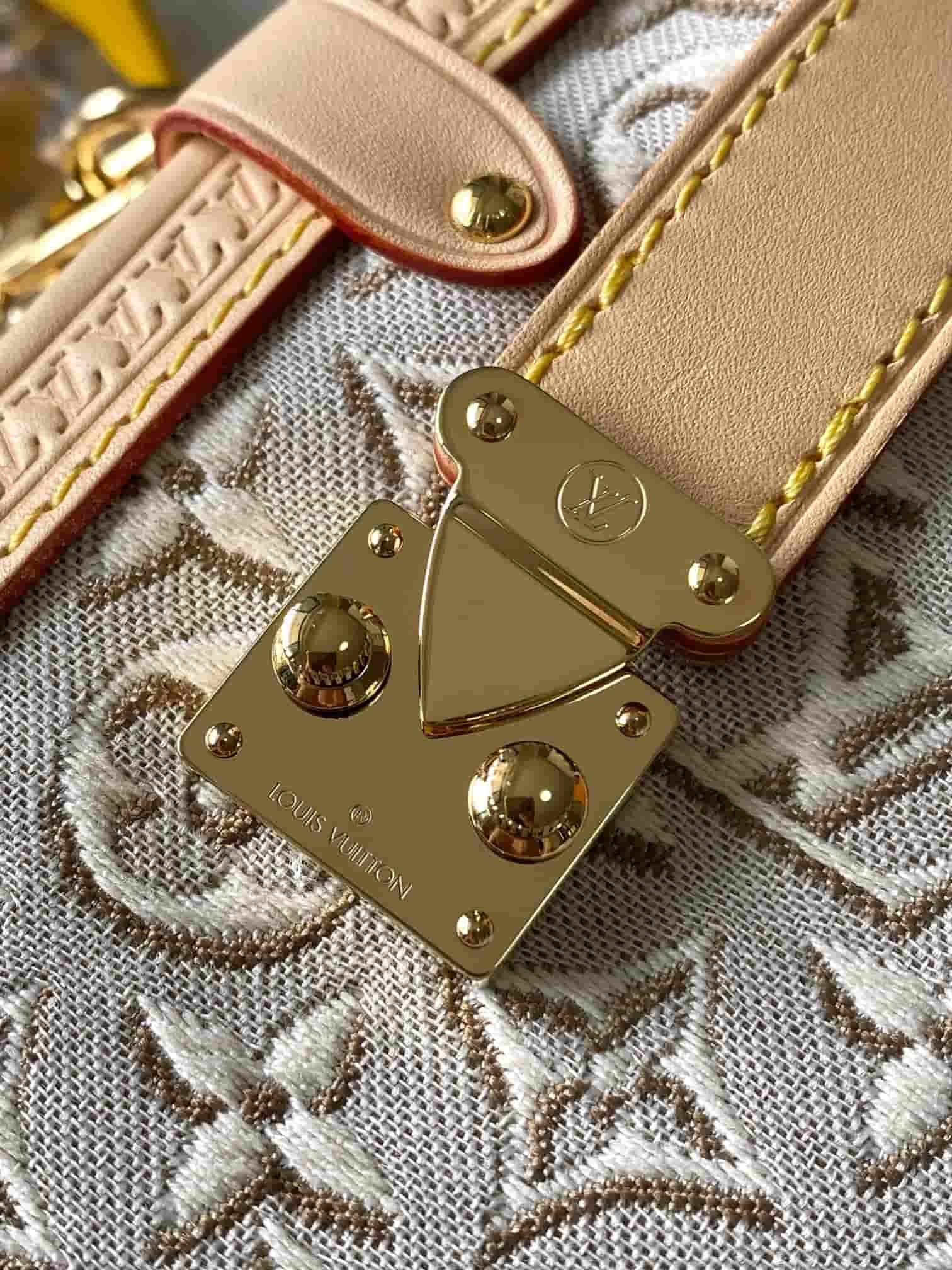 Louis Vuitton Side Trunk MM Monogram Emblème Peuplier M2A145 TOP