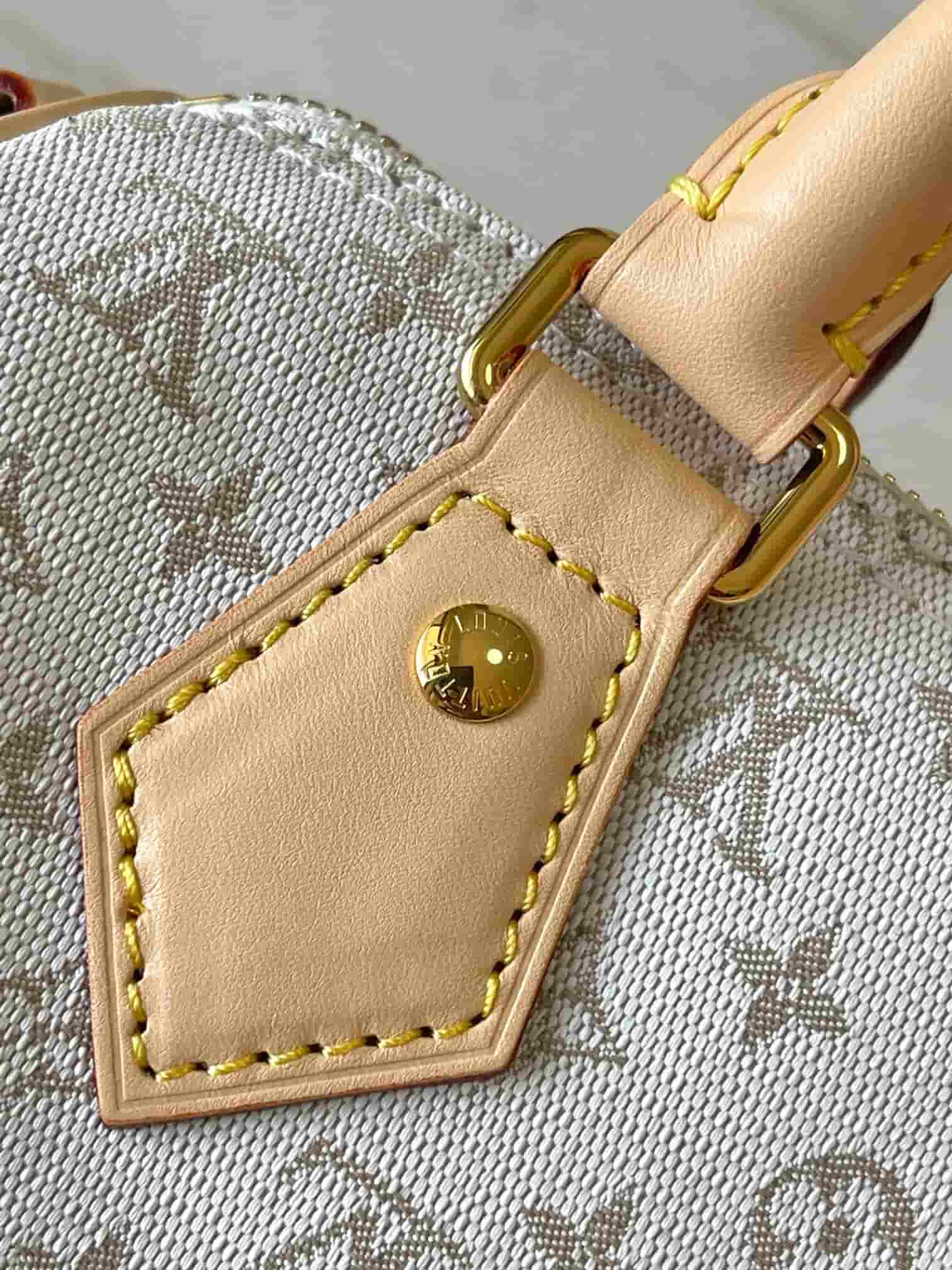 Louis Vuitton Speedy Bandoulière 20 Mastic Cream Polyamide M12747 TOP