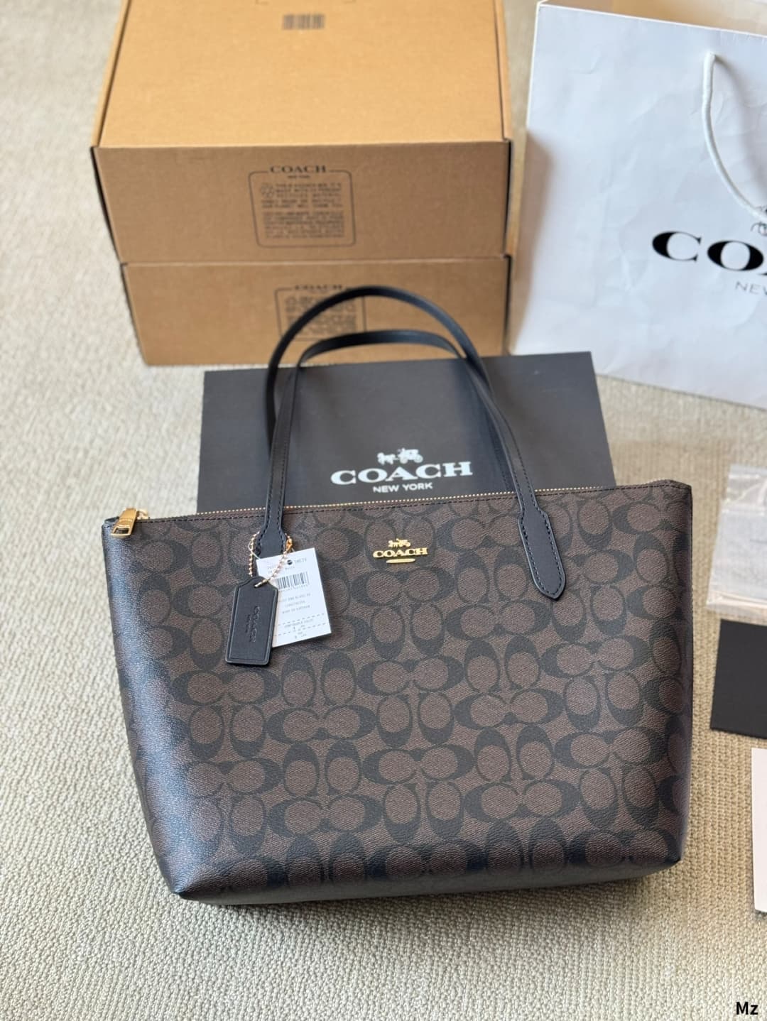 Coach Fiona Zip Tote Bag In Signature Canvas
