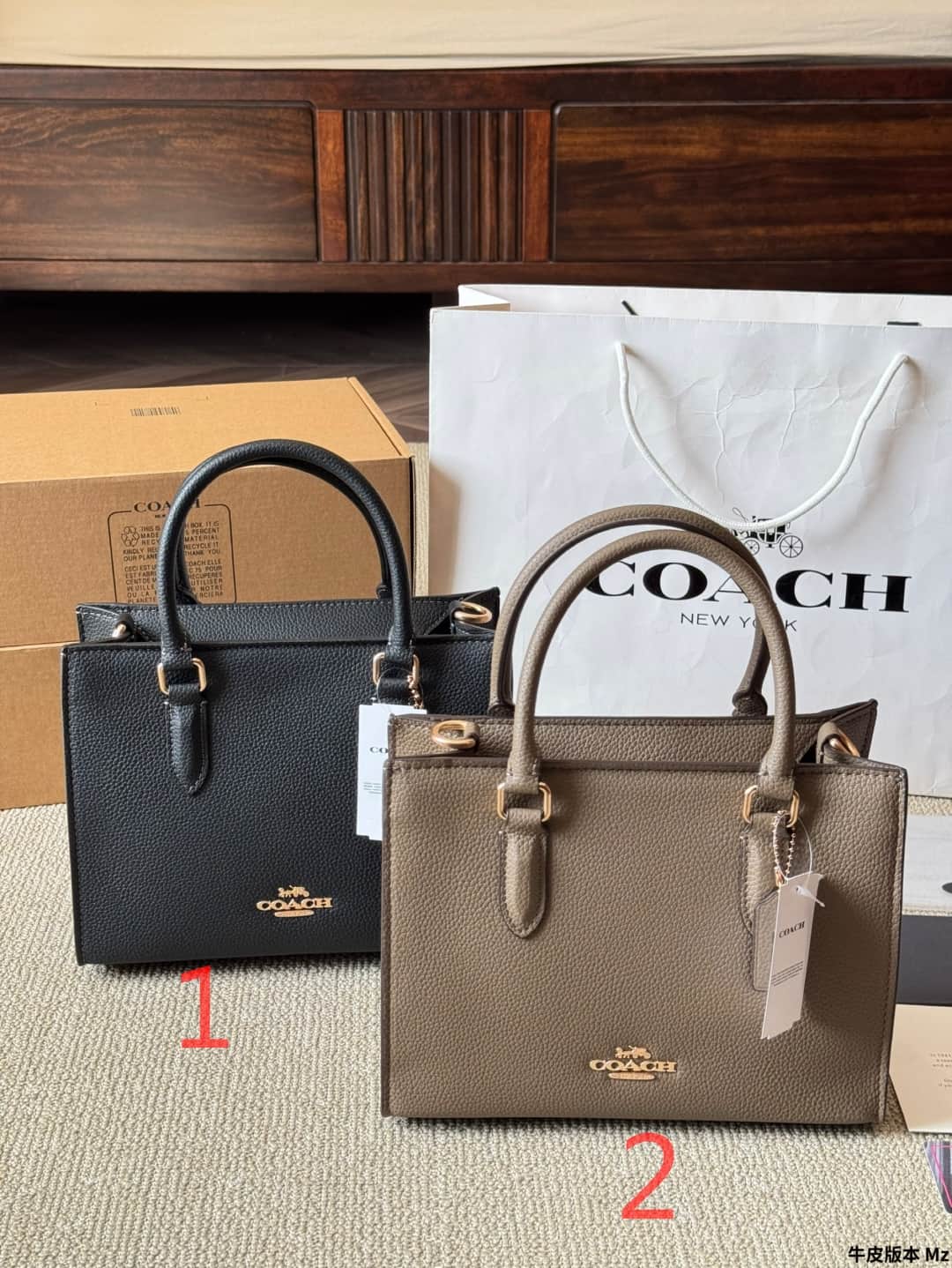 Coach Maggie Small Tote Bag