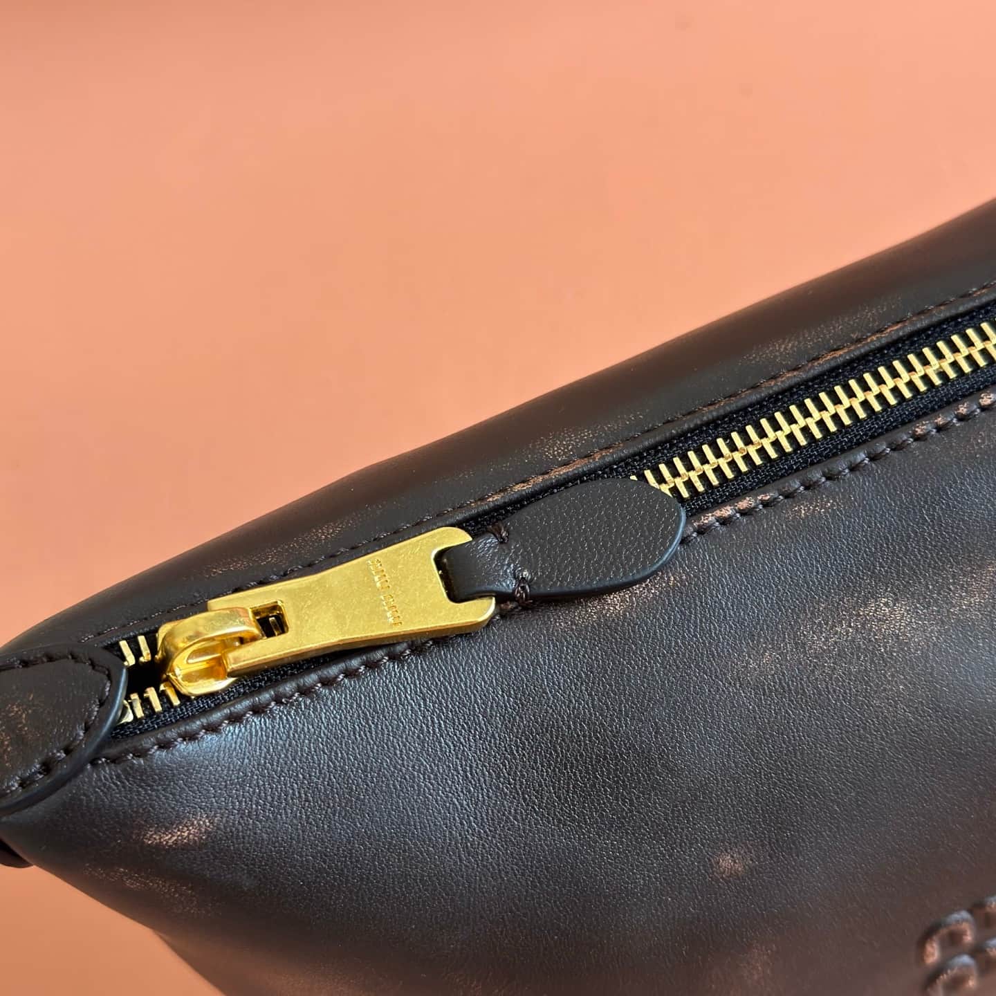 Miu Miu Leather pouch Coffee Brown/Green 5NE841 High