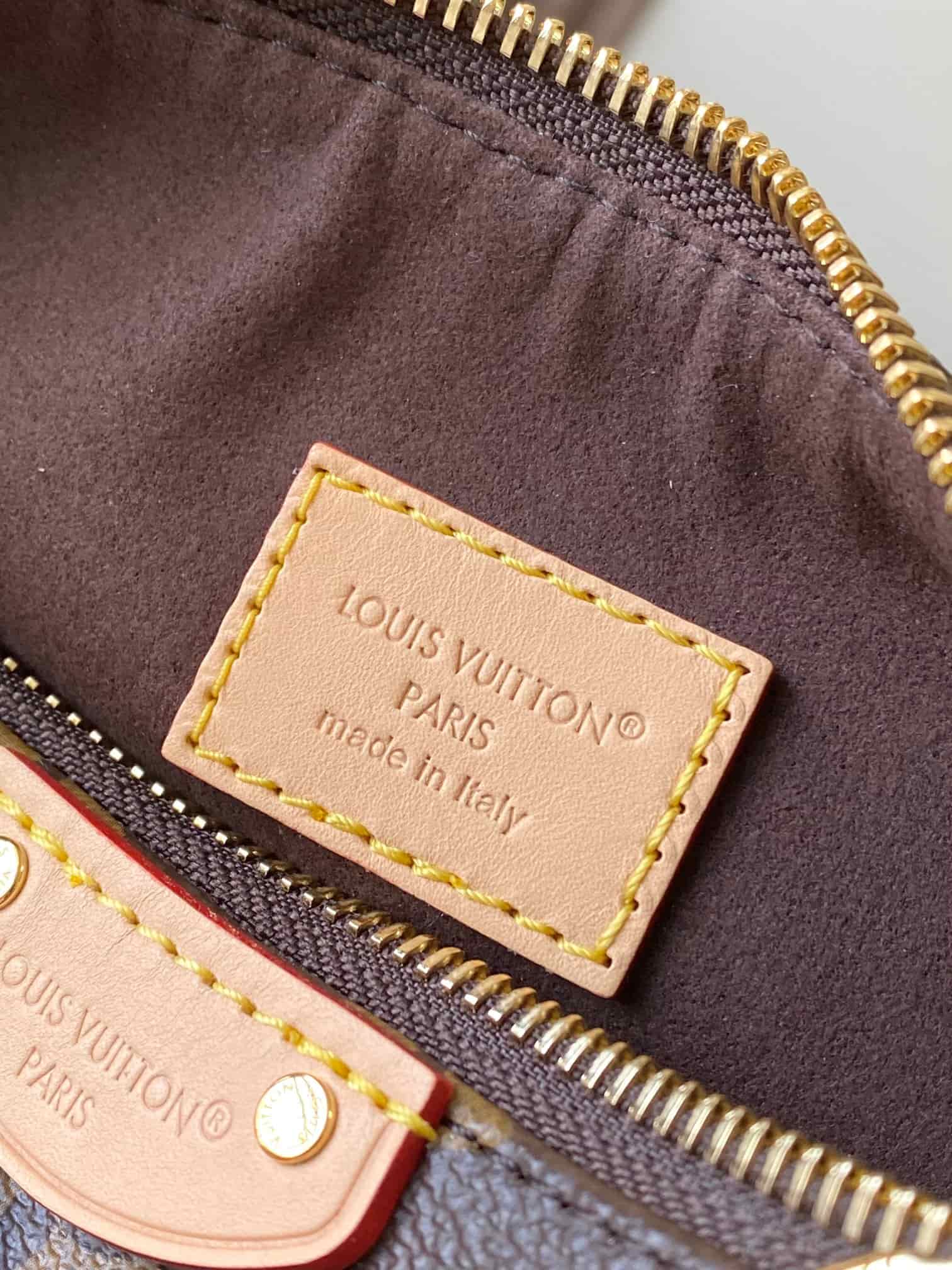 Louis Vuitton Pochette Hills Monogram coated canvas M27509 High
