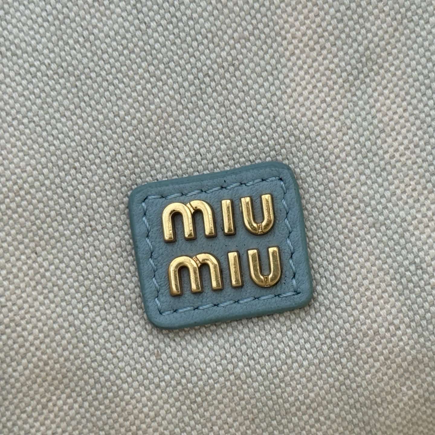 Miu Miu Ivy sequin mesh bag Anise 5BG231 TOP