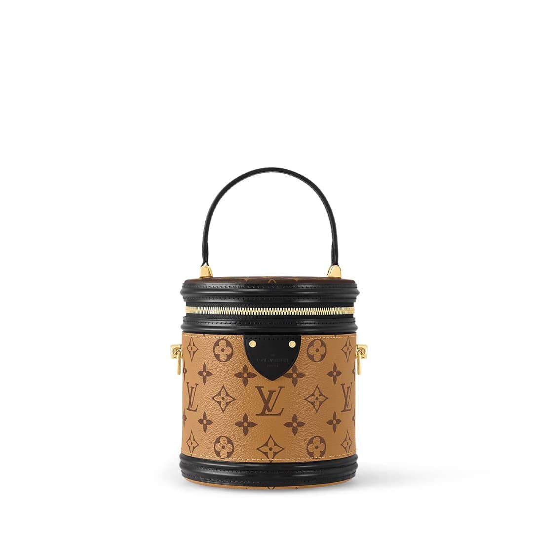 Louis Vuitton Cannes Monogram and Monogram Reverse coated canvas exterior M43986 TOP