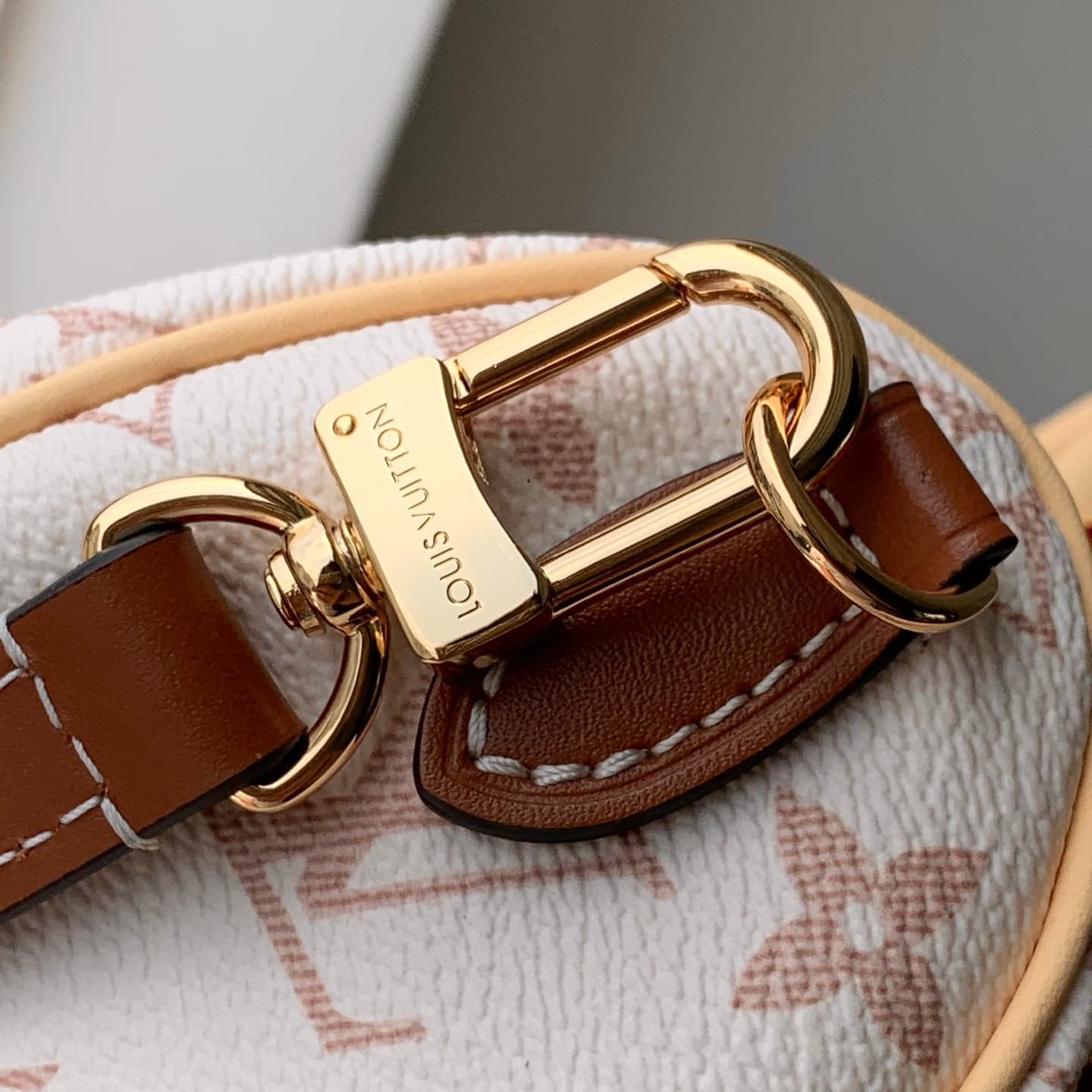 Louis Vuitton Nano Speedy Monogram Dune Coated canvas M29781 High