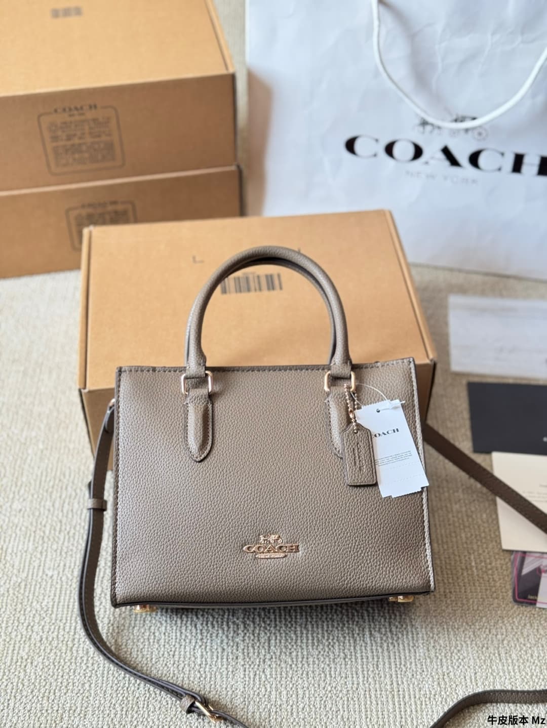 Coach Maggie Small Tote Bag
