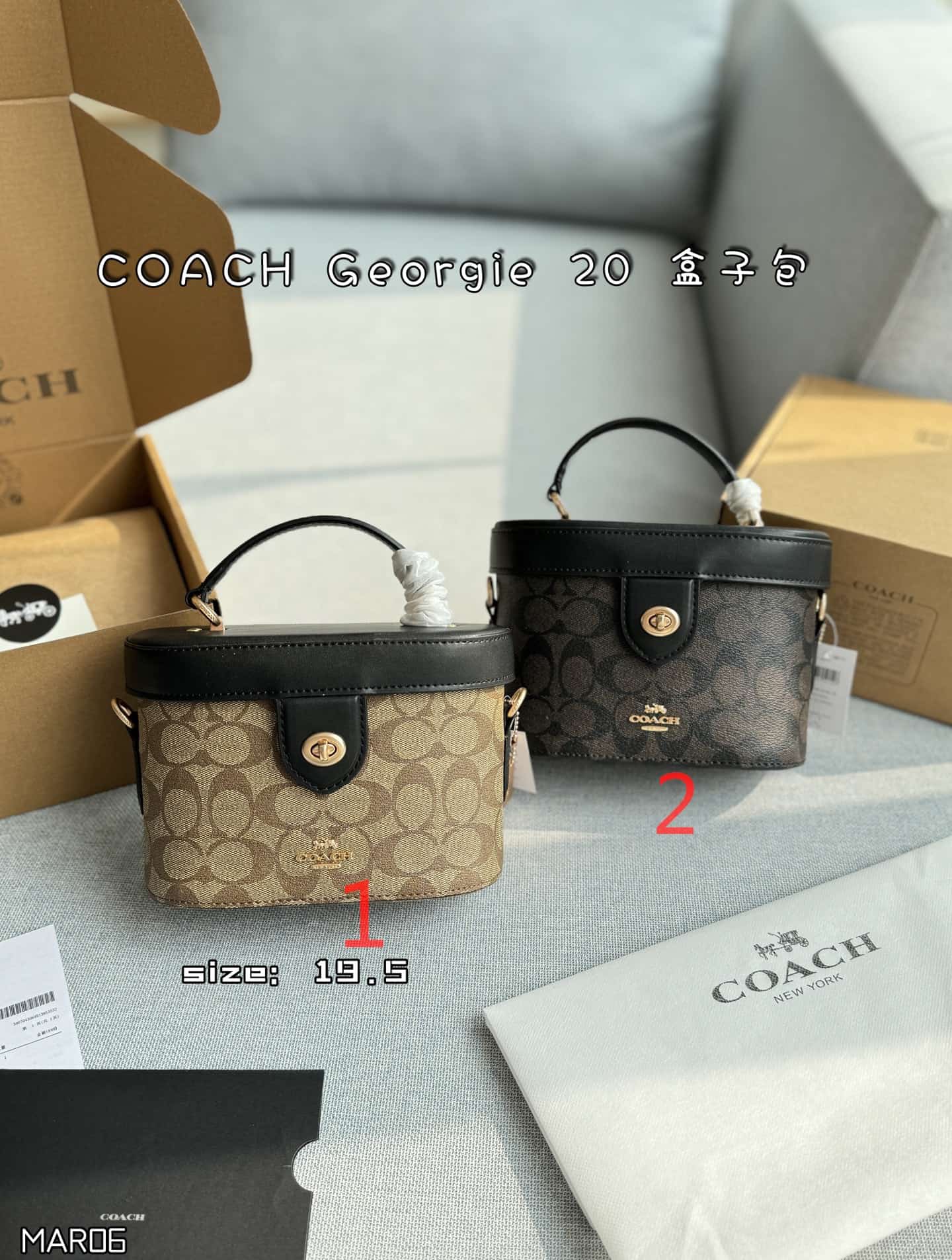 Coach Georgie Gem Crossbody In Signature Canvas
