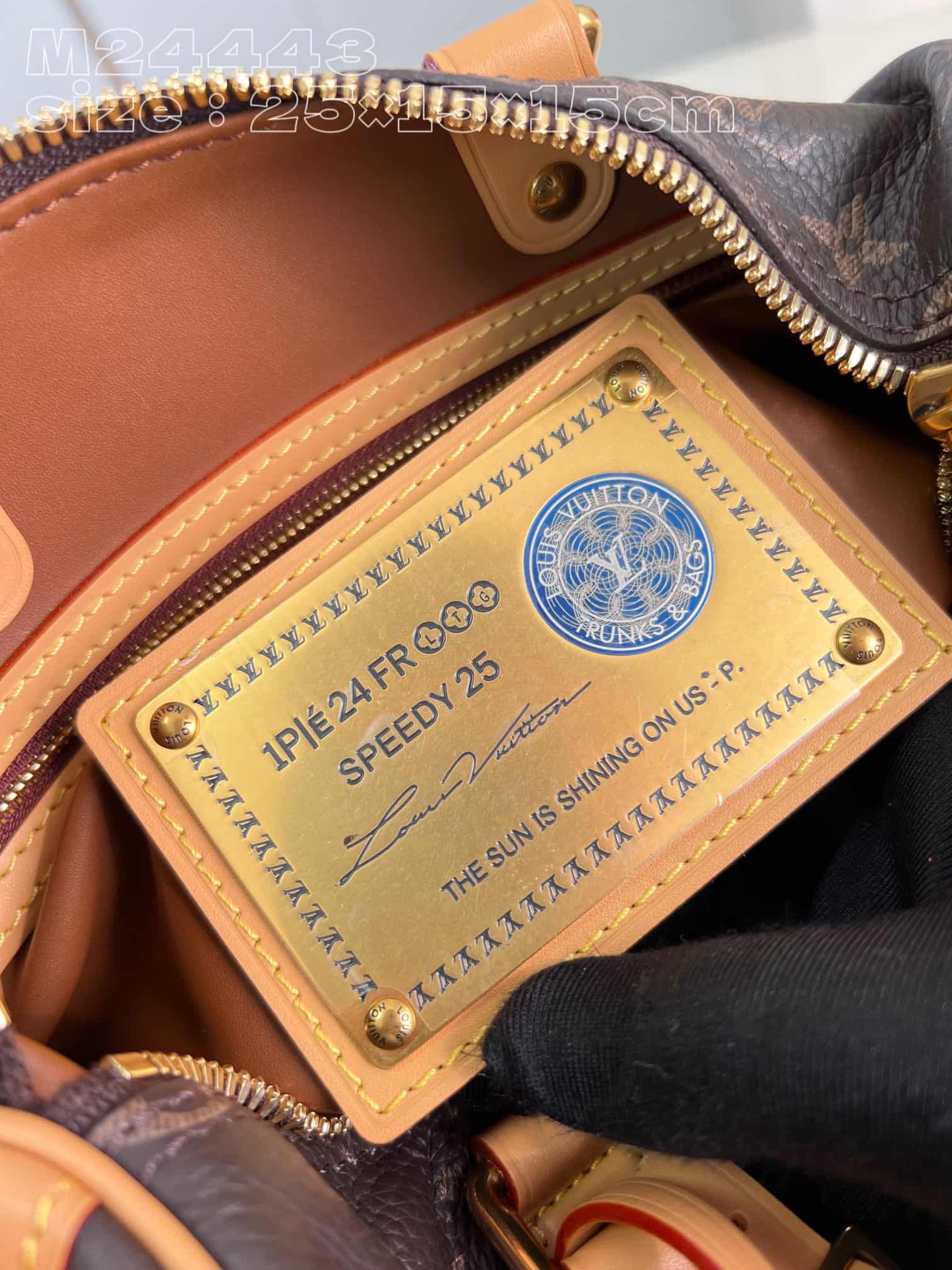 Louis Vuitton Speedy P9 Bandoulière 25 Soft calfskin M24443 High