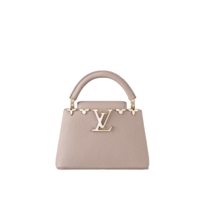 Louis Vuitton CAPUCINES MINI Taurillon Leather M11341 Top