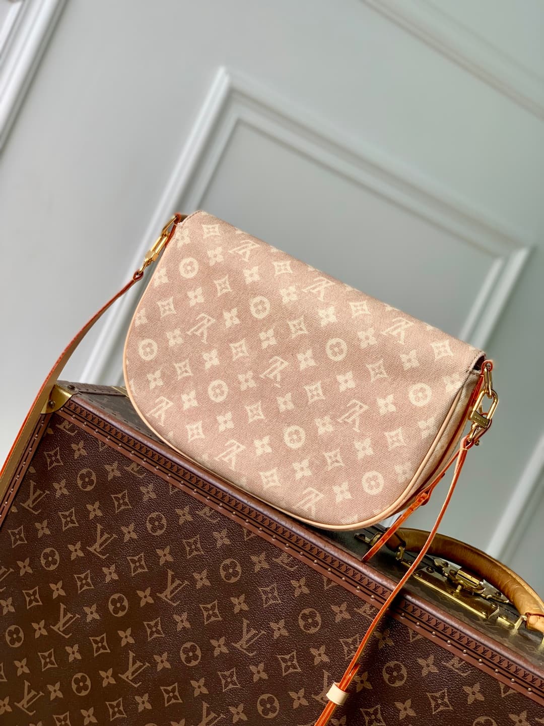 Louis Vuitton Escape Meowgram coated canvas M15134 High