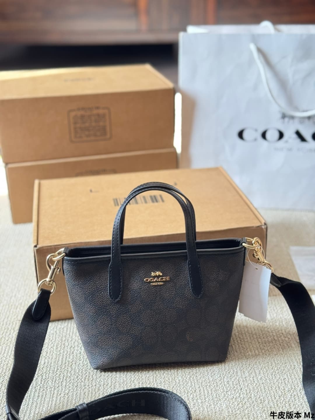 Coach City Mini Tote Bag In Signature Canvas