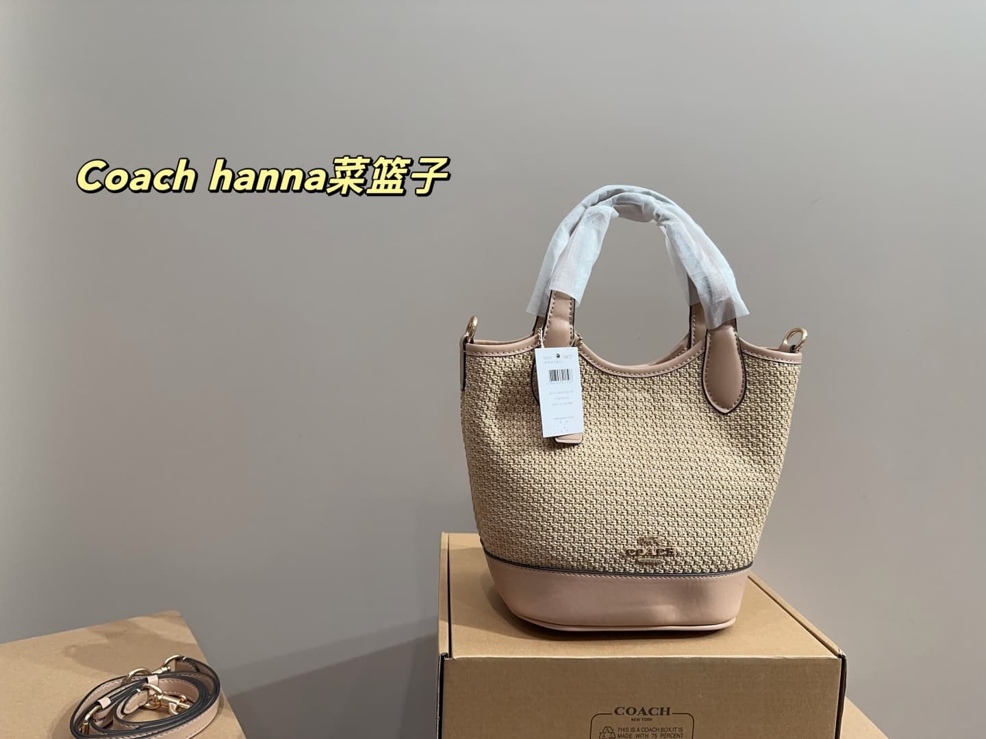 Coach Hanna Bucket Bag