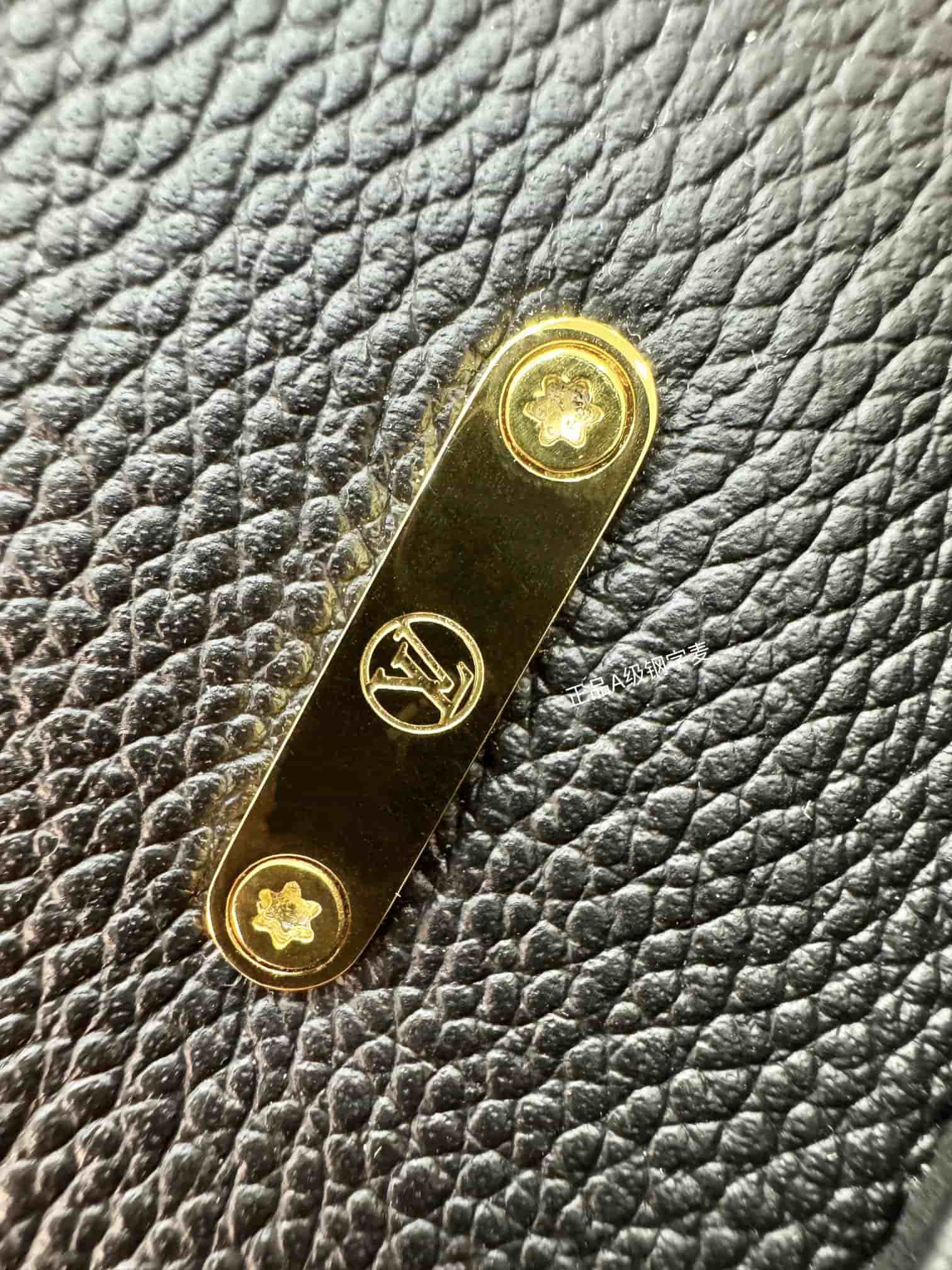 Louis Vuitton Madeleine Nano Embossed, grained cowhide leather M12144 Top
