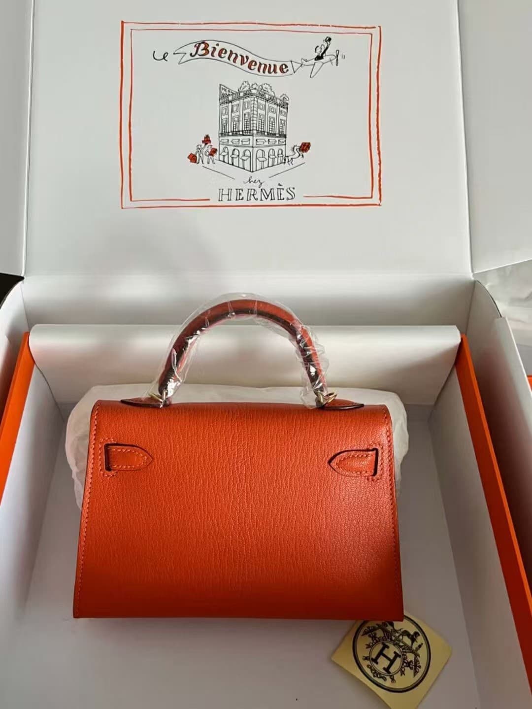 Hermes Kelly Mini II Bag Chevere Mysore Leather Silver/Gold Metal WAX High Customizing Style