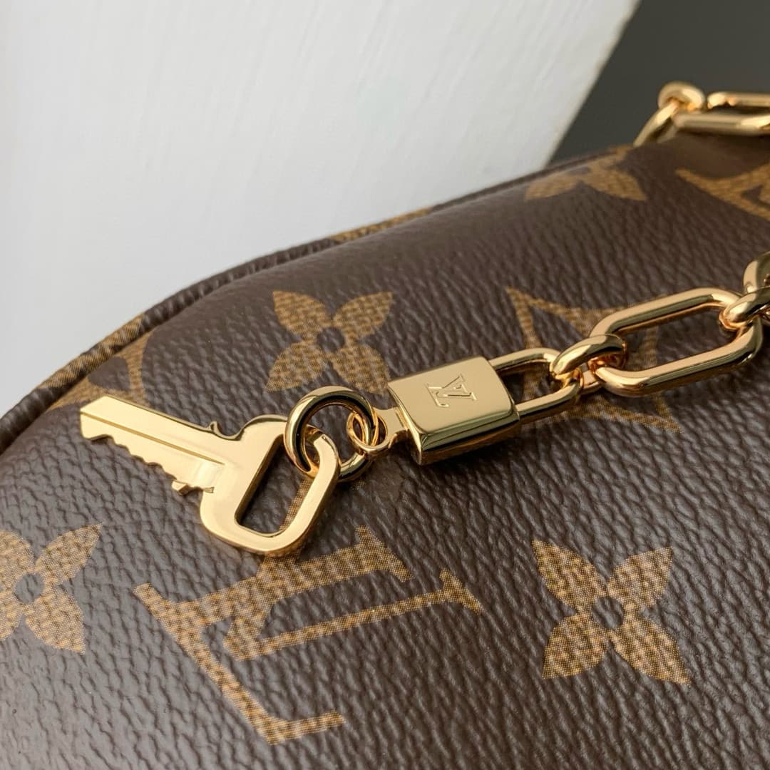 Louis Vuitton Catchy PM Monogram Coated canvas M25223 High