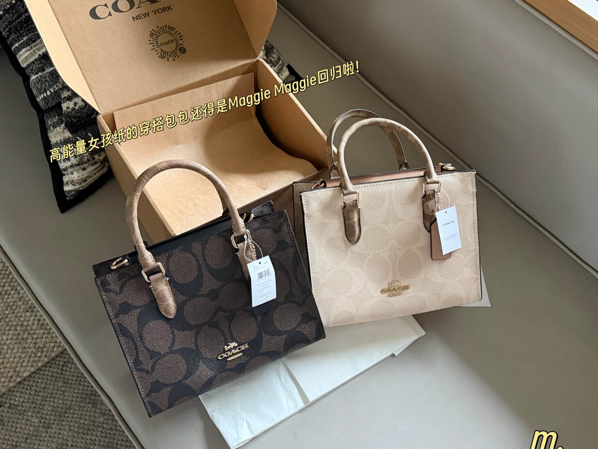 Coach Maggie Small Tote Bag Signature Canvas High