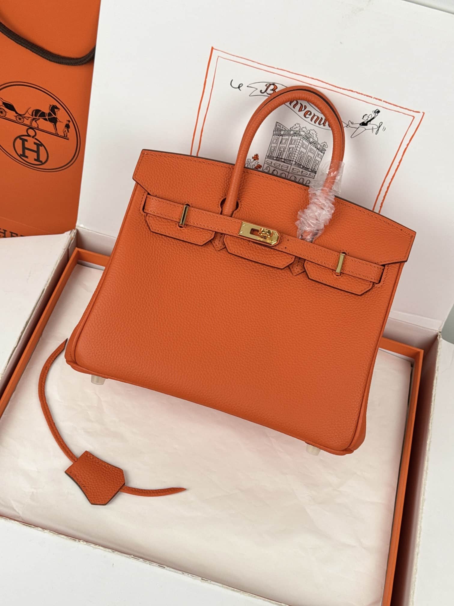 Hermes Birkin 25/30 Bag Togo Calfskin Leather Orange High
