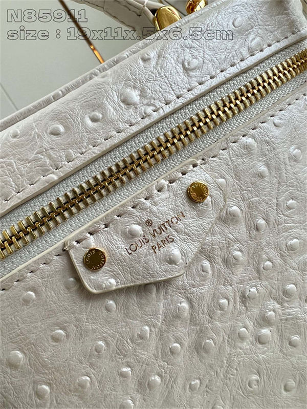 Louis Vuitton Vanity Chain Pouch Ostrich leather N85911 High