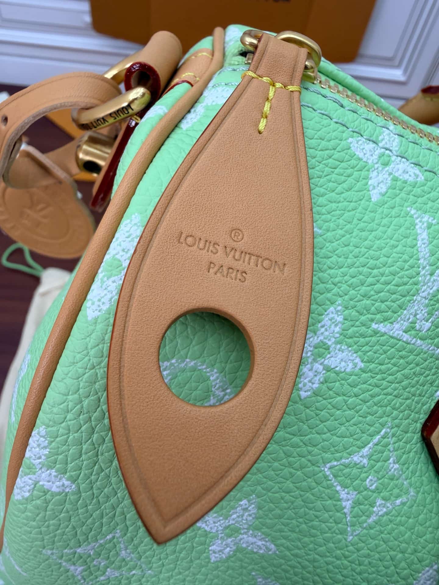 Louis Vuitton Speedy P9 Bandoulière 30 Frozen Lime Calf leather M14064 TOP