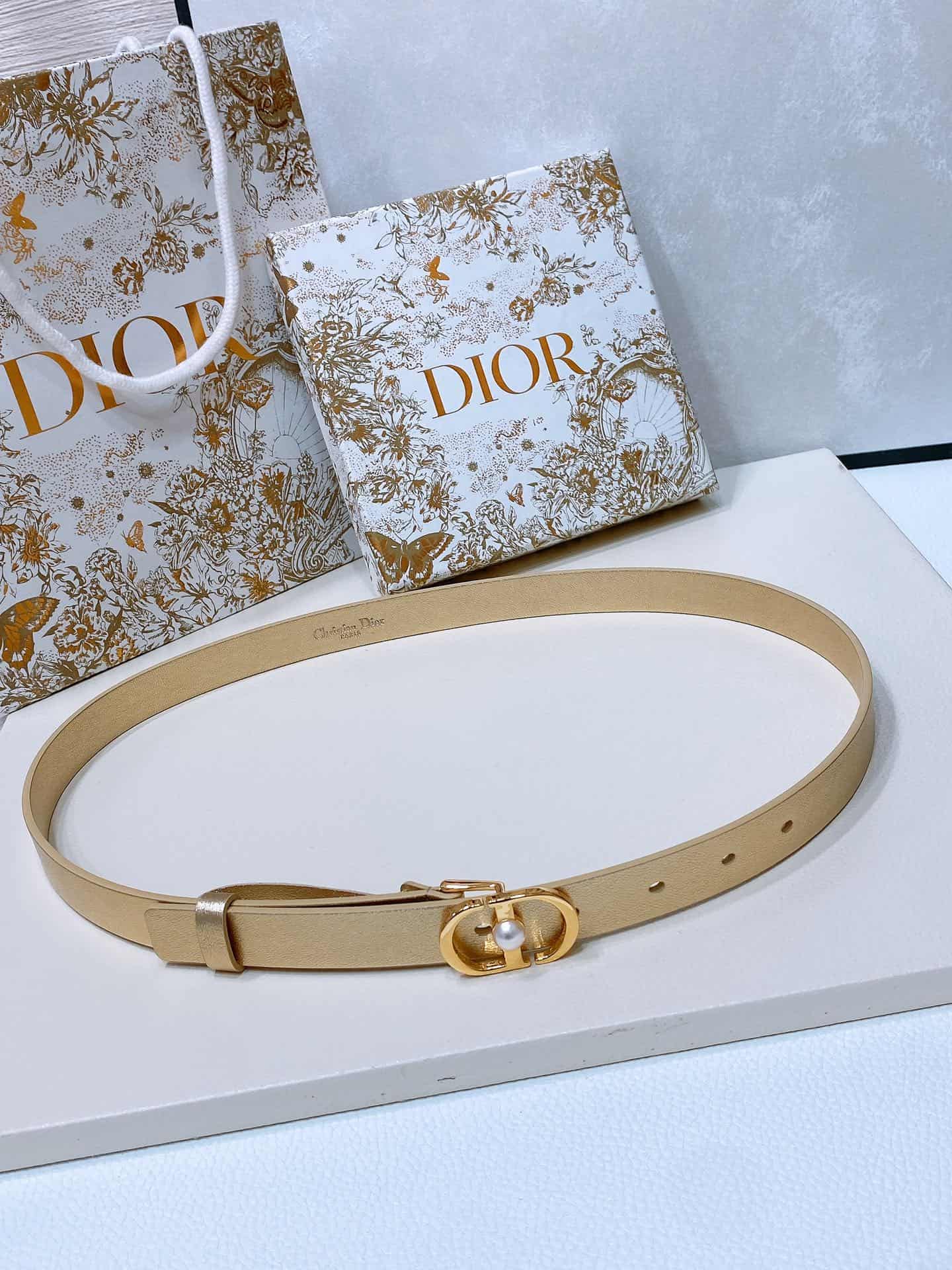 Dior Montaigne Jolie Belt 15/20MM Calfskin Gold/Silver High