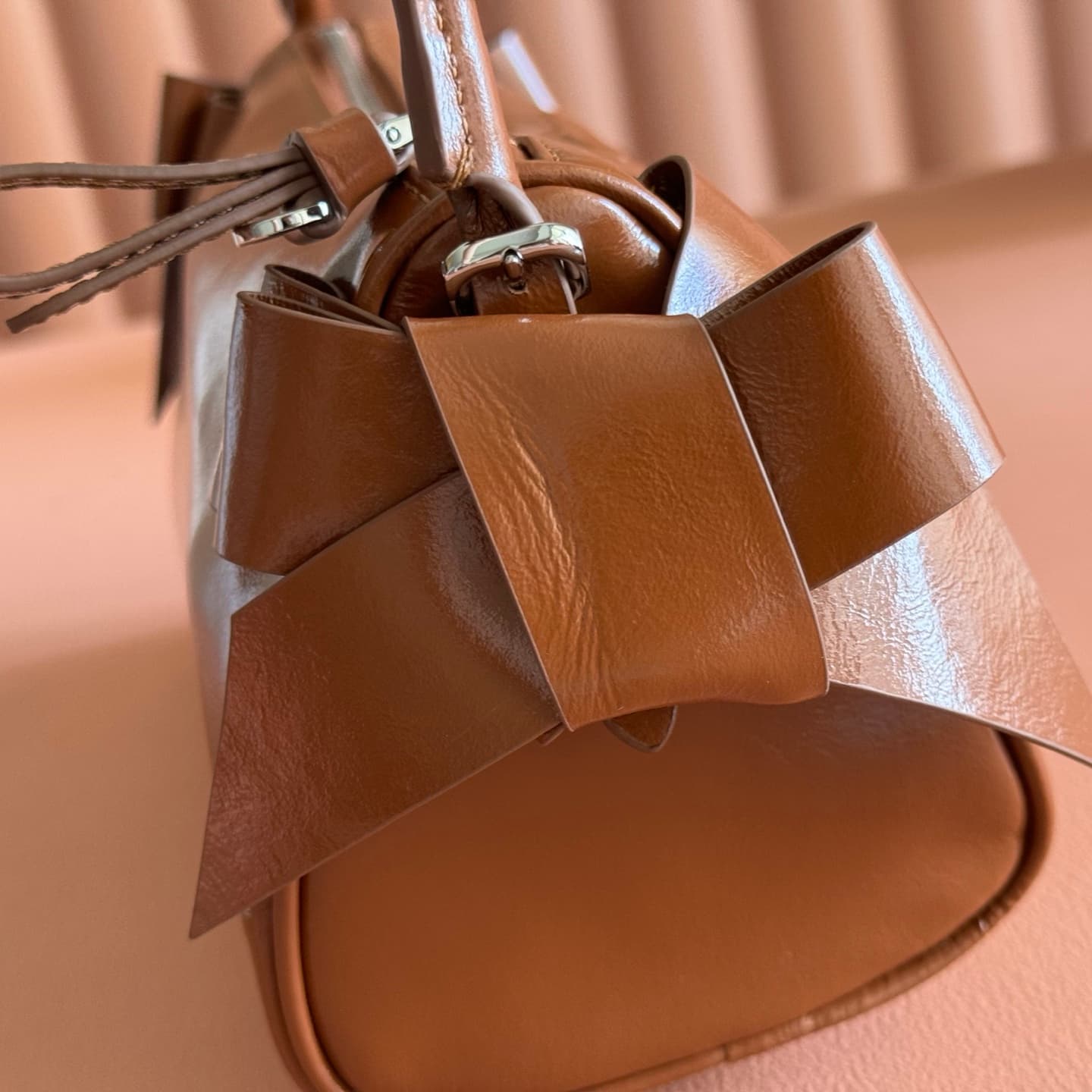 Miu Miu Shiny Calfskin leather pouch Palisander 5NE029