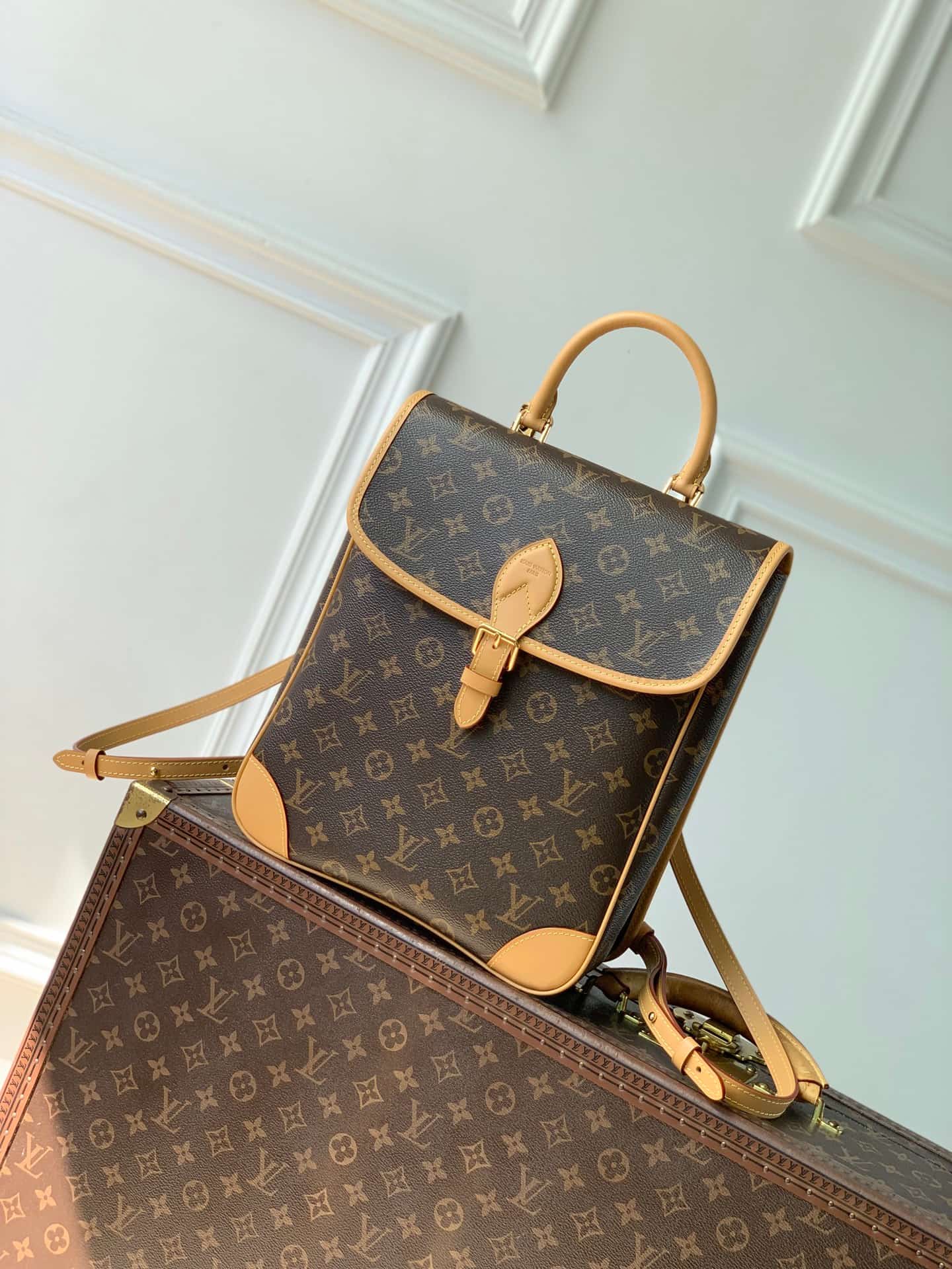 Louis Vuitton DIANE Backpack Monogram coated canvas M29631 High