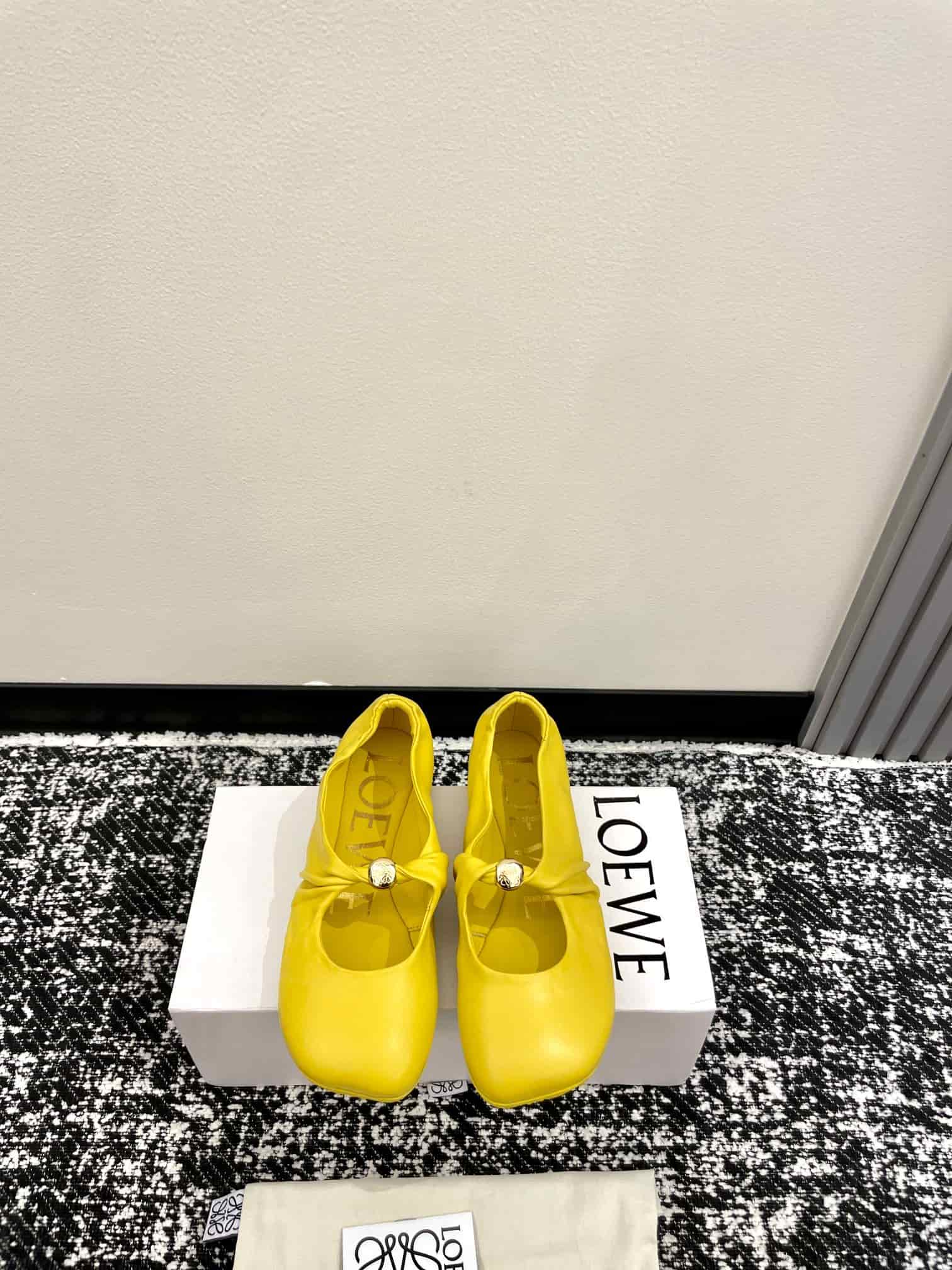 LOEWE Pebble Ballet Flats shoes Women