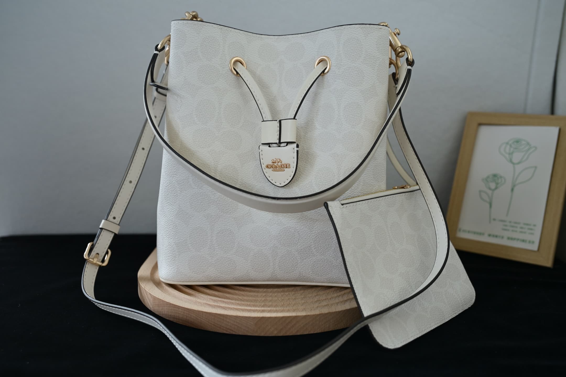 COACH Rowan Bucket Bag In White Signature Canvas High