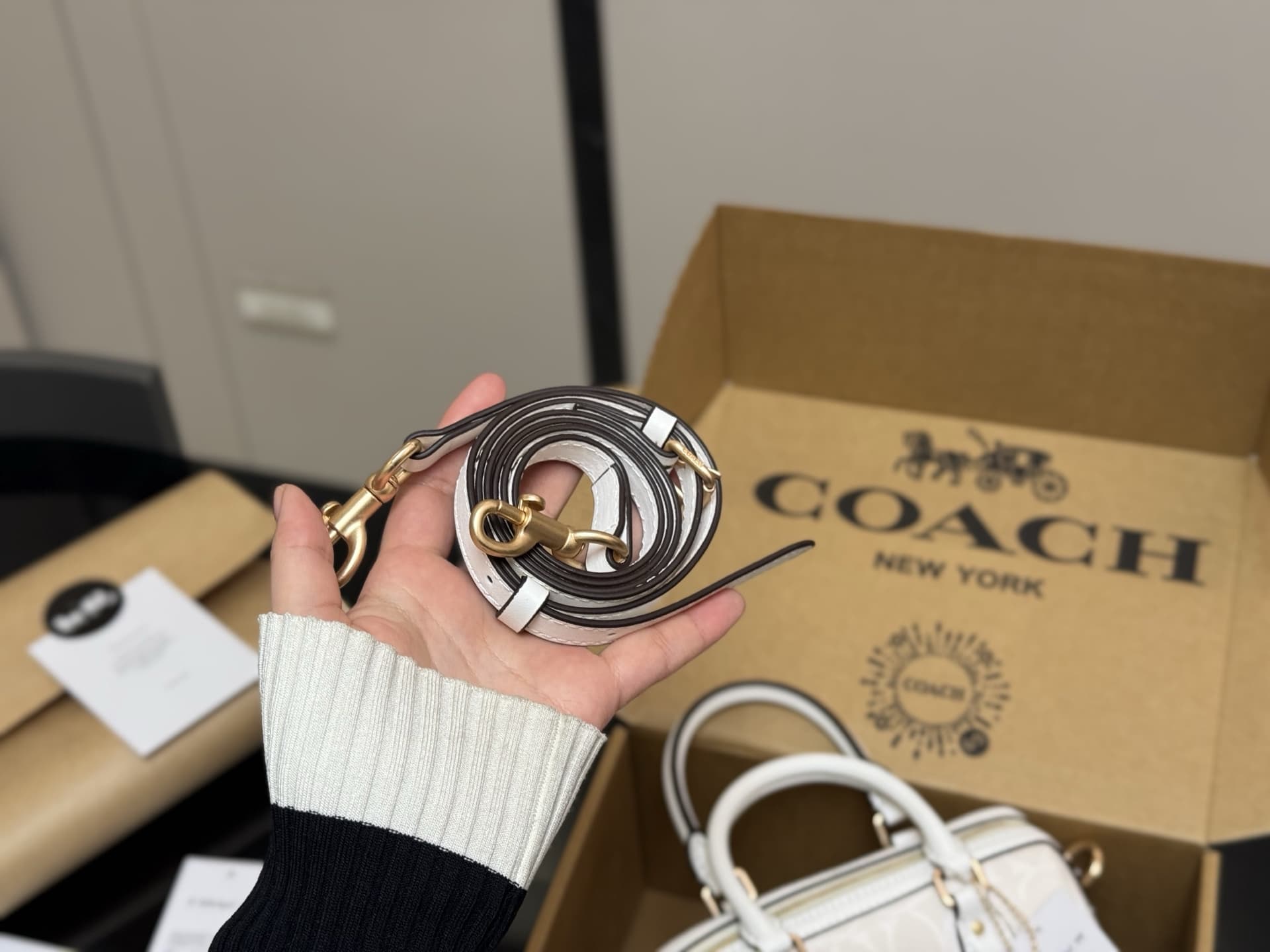 Coach Mini Rowan Crossbody Bag