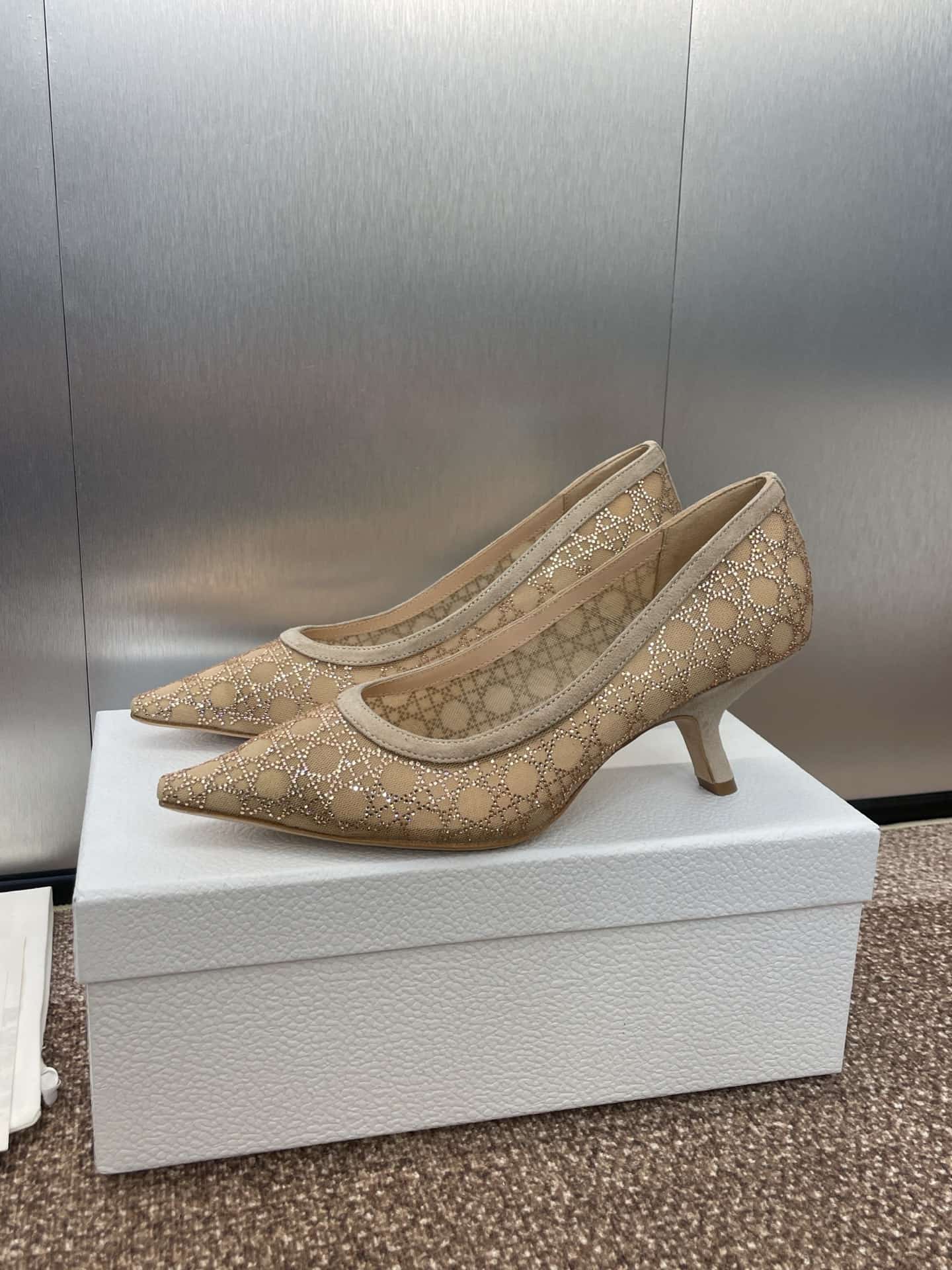 Dior Capture Pump Shoes Low Women