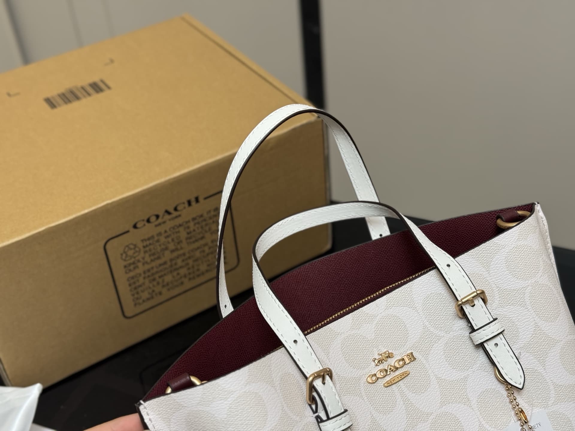 Coach Mollie Tote Bag In Signature Canvas
