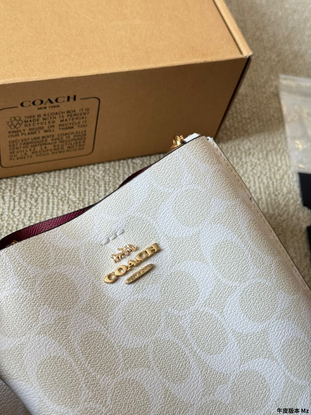 Coach Mollie Bucket Bag 22 In Signature Canvas