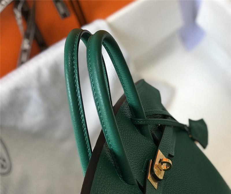 Hermes Birkin 25/30/35cm Bag Calfskin Silver/Gold Metal In  Vert Vertigo High