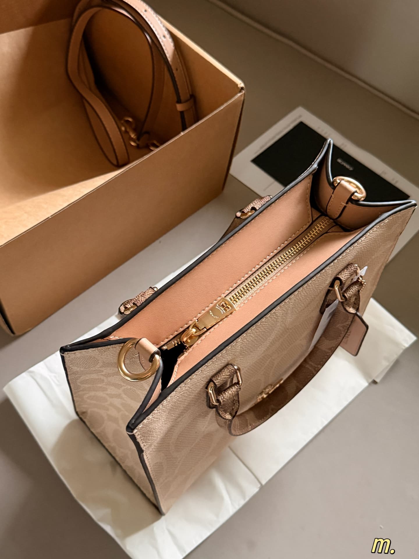 Coach Maggie Small Tote Bag Signature Canvas High