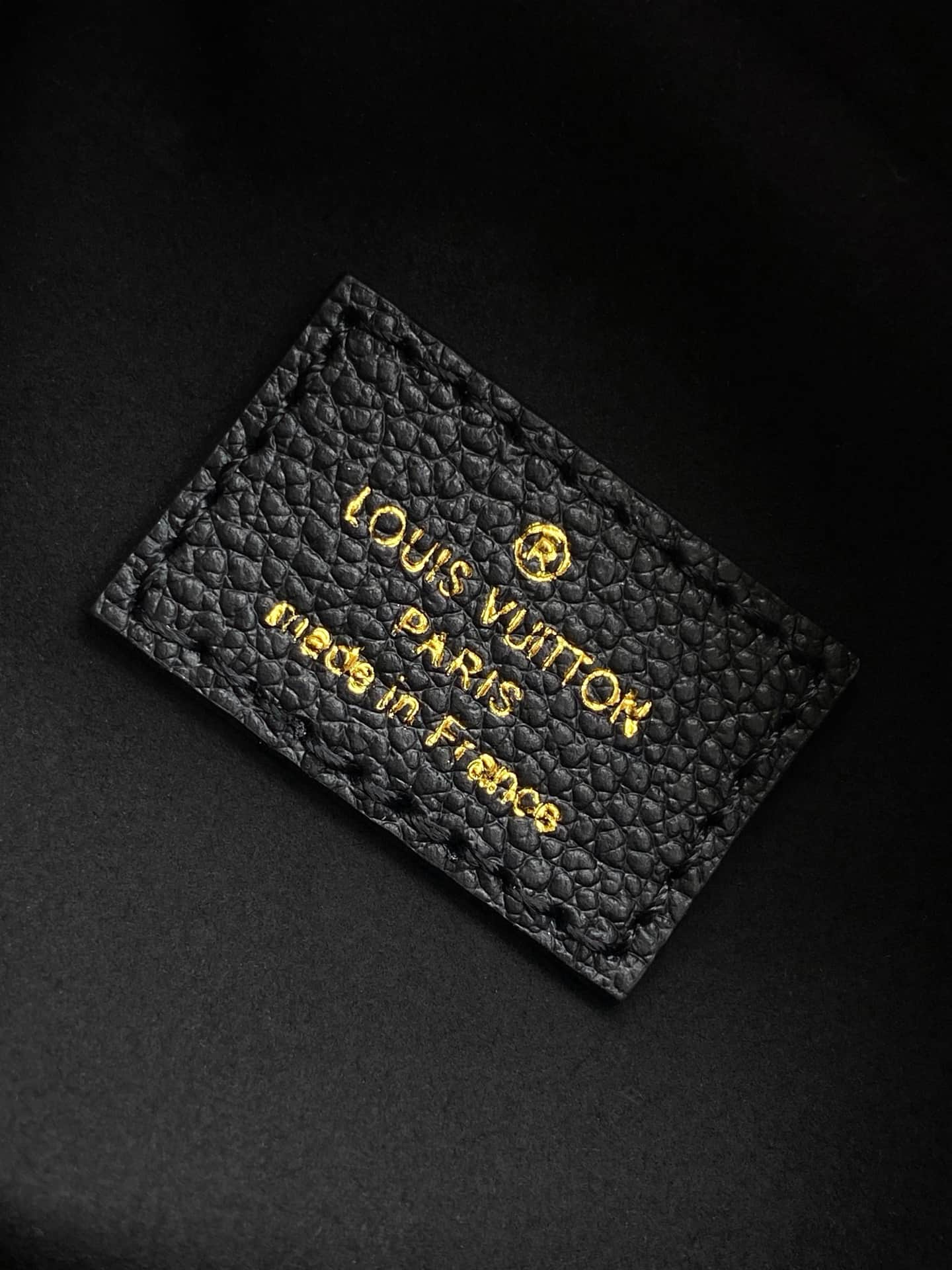 Louis Vuitton Tiny Camera Bag Black Cowhide leather M25518 High