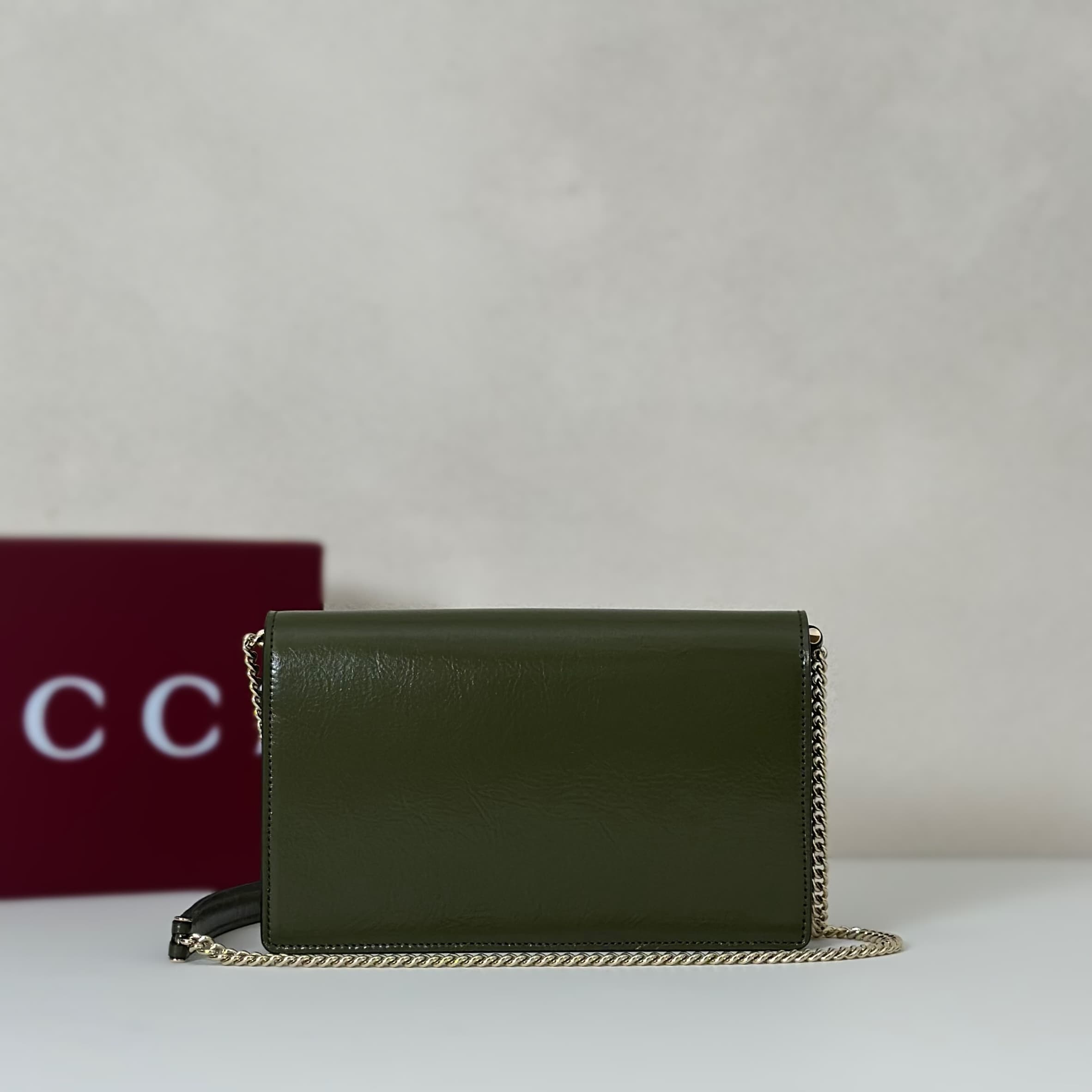 DIONYSUS WALLET ON CHAIN 837374 Green leather High