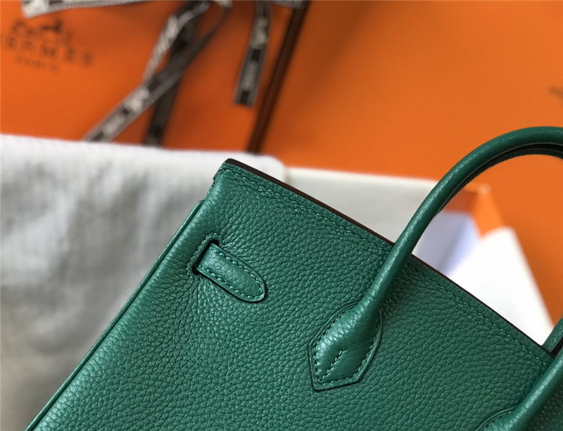 Hermes Birkin 25/30/35cm Bag Calfskin Silver/Gold Metal In  Vert Vertigo High