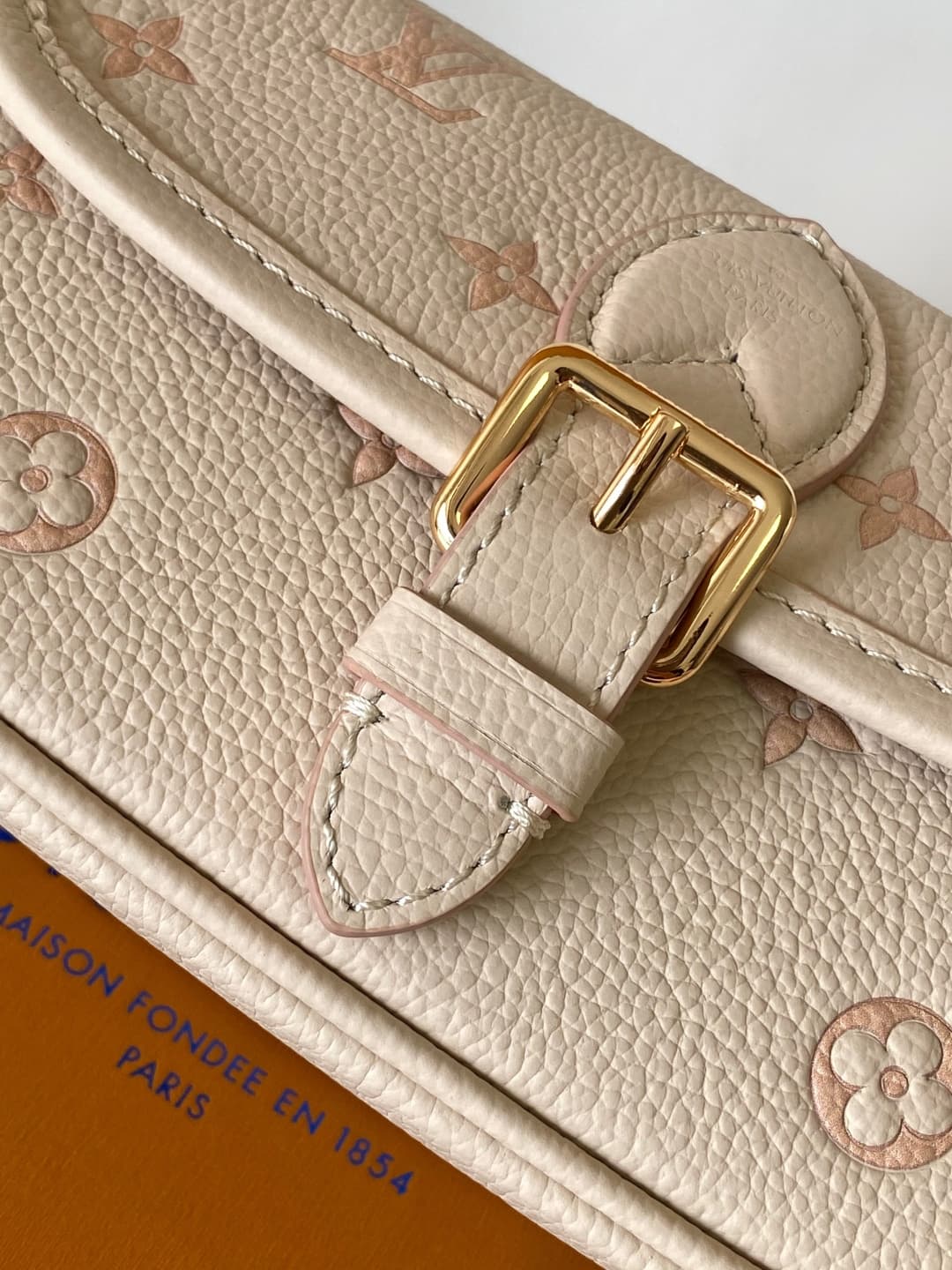 Louis Vuitton Nano Diane Embossed grained cowhide leather M13642 Bicolour Eden High